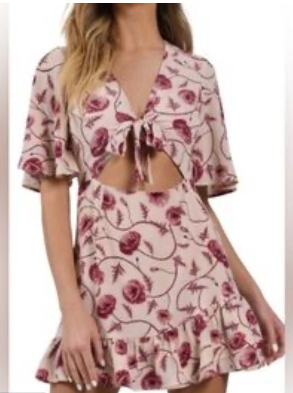 Tobi Farrah Mauve Floral Skater Dress